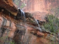 22avr_15.05 - Zion National Park.jpg